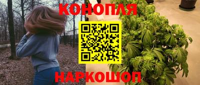 a pvp Заводоуковск