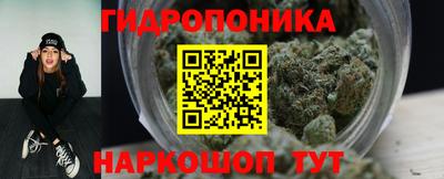 a pvp Заводоуковск